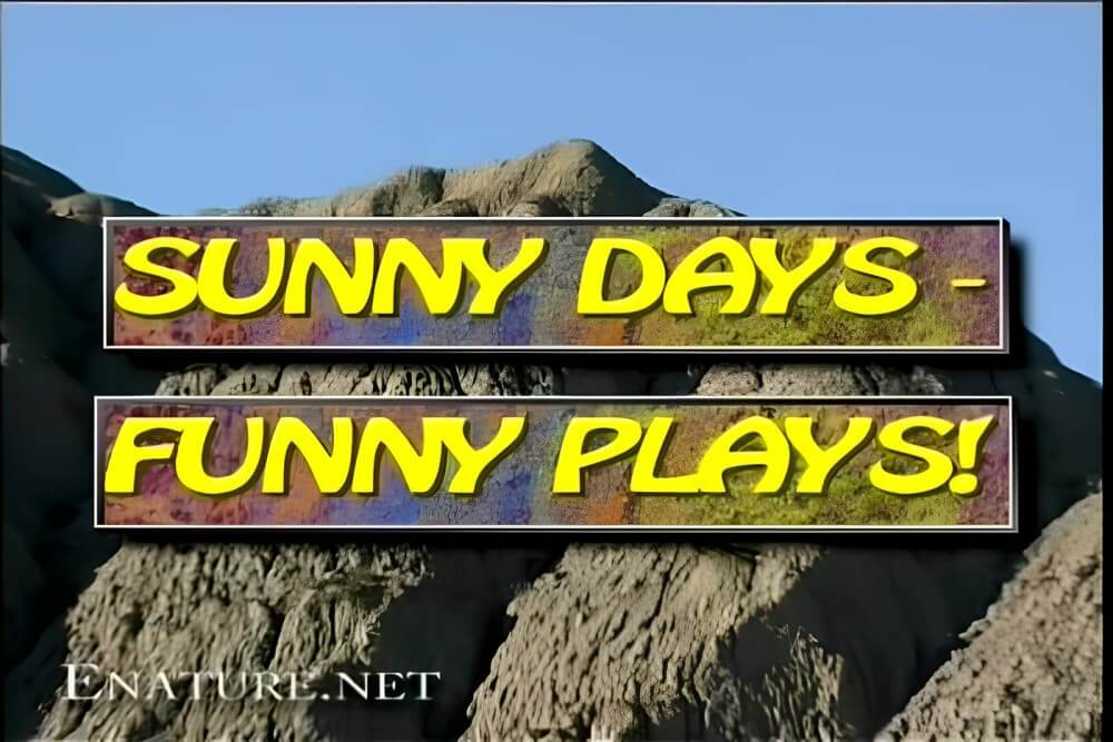 Enature - Sunny Days – Funny Plays - Nudism means fewer complexes