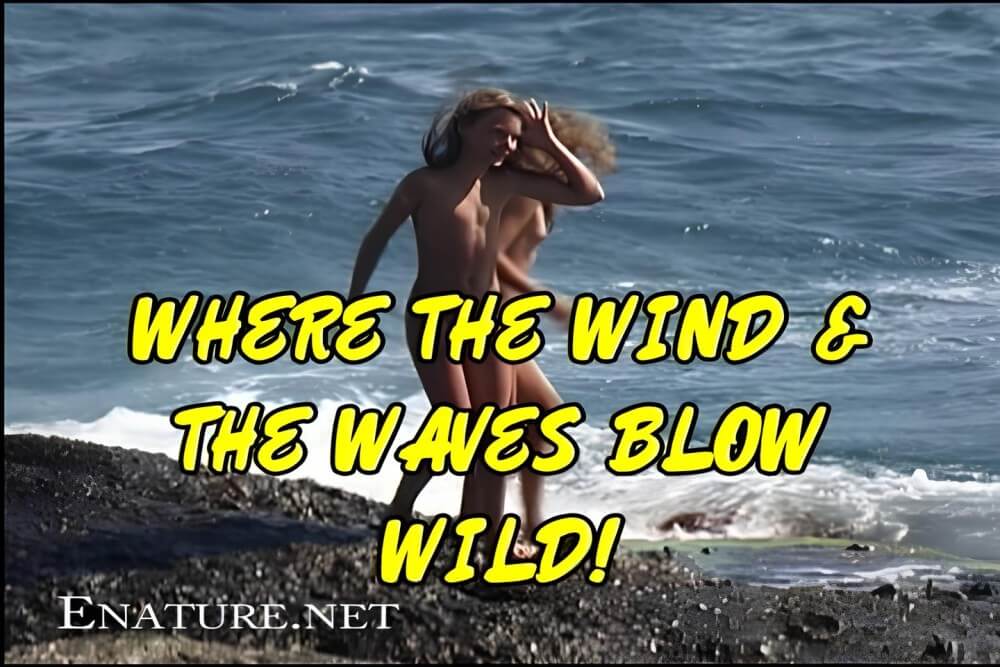 Enature - Where the Wind and the Waves Blow Wild! - The culture of nudism promotes tolerance and mutual understanding