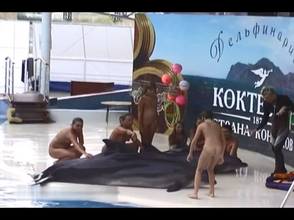 Relaxing at the dolphinarium - Wearing less clothing is fashionable