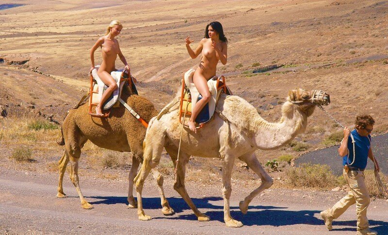 Funny Moments Life pics - Nudism fosters trust and mutual understanding